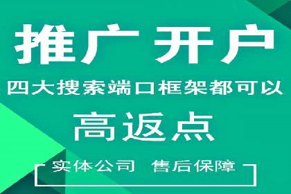 百度竞价排名策略解析及实战案例